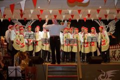 2011-01-26-20-47-34_1