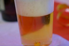 2025-02-16-20-22-50_2_web