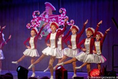 2025-02-16-20-25-41_3_web