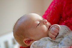 2025-02-28-15-31-58_2_web