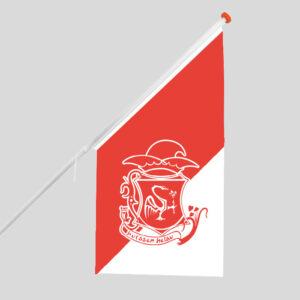 De Kraonige Zwaone vlag